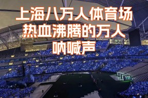 金年会共享联赛-精彩瞬间不可错过，现场球迷尖叫不断